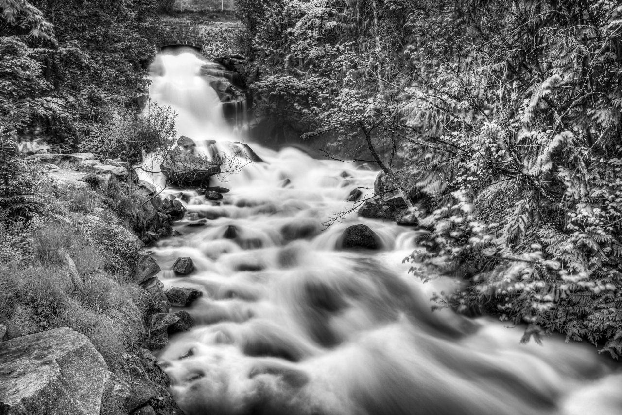 IMAGE: http://community.netidea.com/teekay/temp/CottonwoodBW1280.jpg